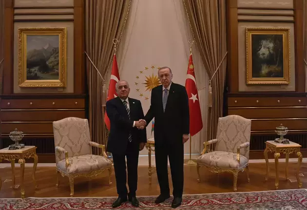 Turkish President officially invited to COP29 in Baku