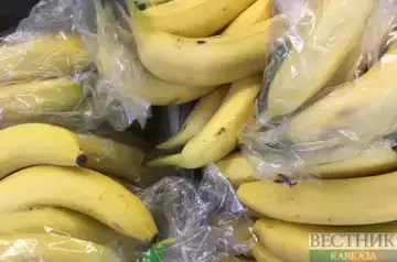  Kazakhstan starts growing Turkish bananas 