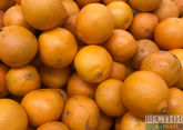 Türkiye becomes leader in tangerines export to Russia