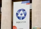 Rosatom: talks with Uzbekistan on NPP construction successful