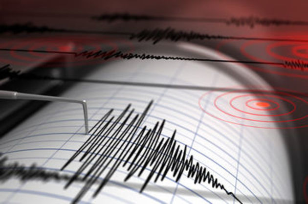 Seven dead in Turkey after earthquake hits Iran border area