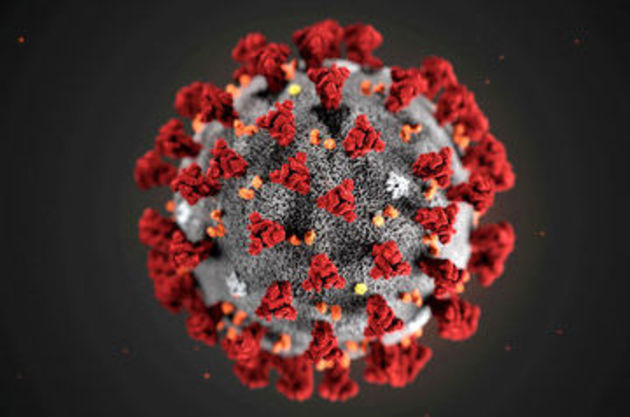 Luxembourg reports first coronavirus case