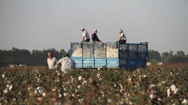 Uzbekistan seeks end of cotton boycott
