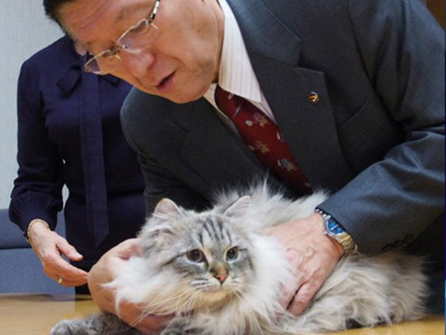 Cat given by Putin to a Japanese governor isolated over COVID-19