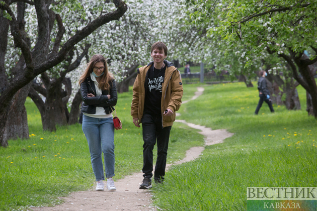 Apple orchard bloom in Moscow (photo report)