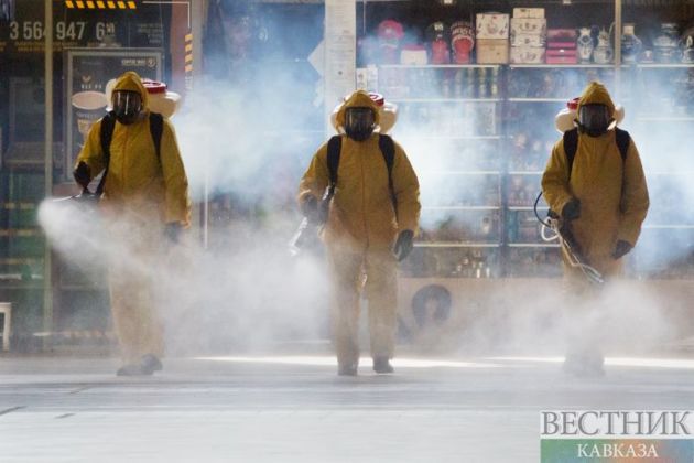 Scientists: coronavirus 'perfectly adapted' to infect humans 