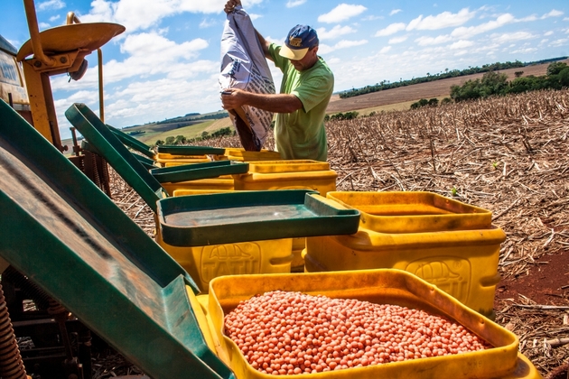 A Brazilian farmer producing soybean benefits from the China-US trade war