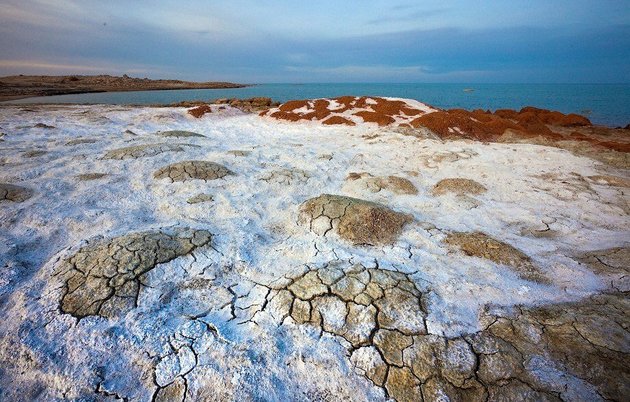 WHO looks for coronavirus &#039;brought by wind from Aral Sea&#039; to Turkmenistan
