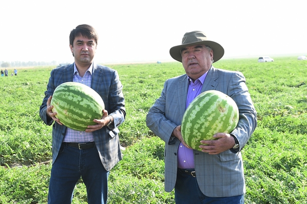 Tajikistan brings presidential election forward, to Oct. 11