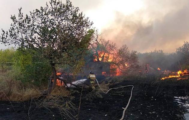 Wildfire area in Russia&#039;s Rostov region increases to 700 hectares