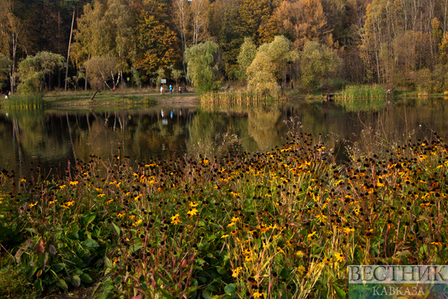 Autumn in Moscow. Pokrovskoye-Streshnevo Park 