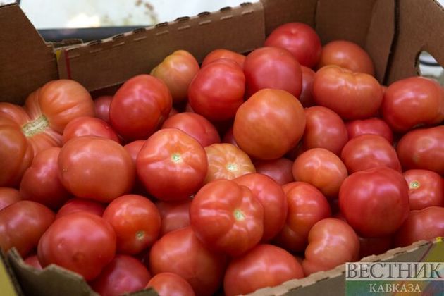 Russia ready to ban tomato import from Armenia