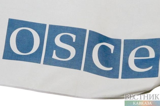 OSCE assesses positively parliamentary elections in Georgia