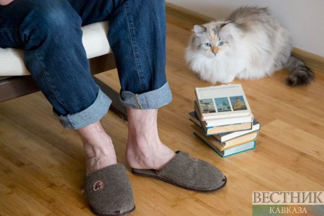 How to survive in winter