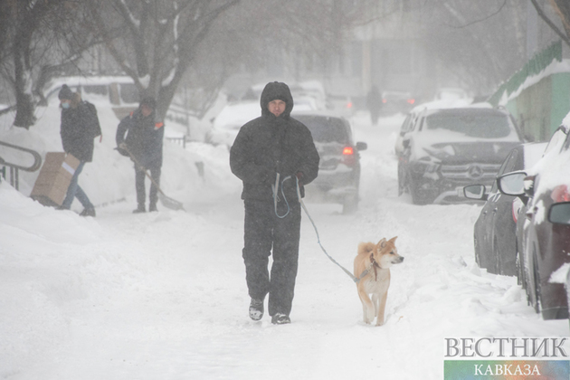 Three snowy days in Moscow (photo report)