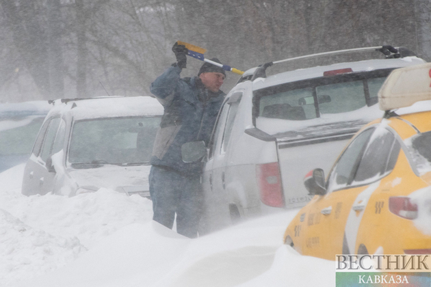 Three snowy days in Moscow (photo report)