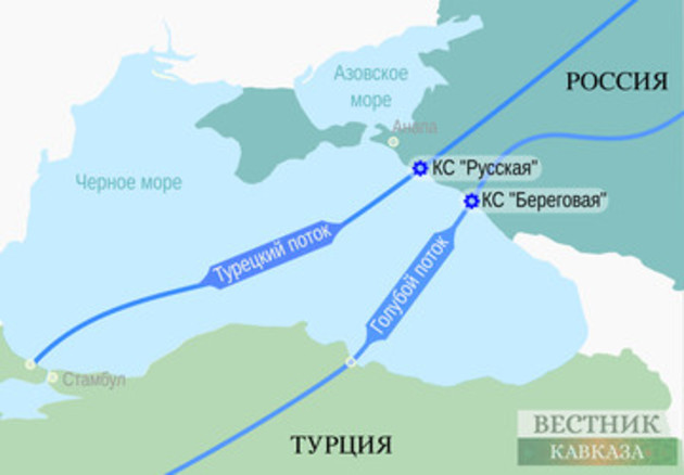 About 43% of Turkish Stream&#039;s capacity used in 2020