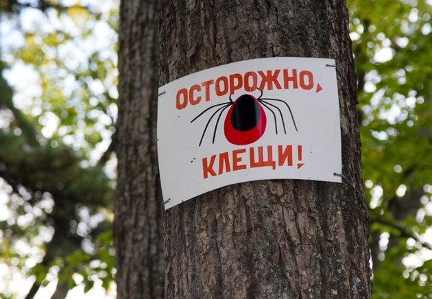 Tick season begins in Stavropol Territory