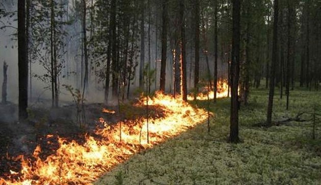 Natural fire brakes out in Kuban