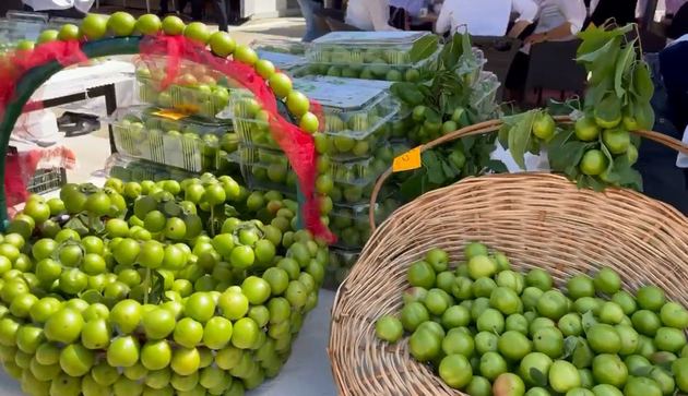 Cherry-plum festival kicks off in Nakhchivan