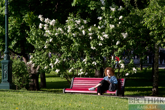 Spring blossoming in Moscow (photo report)