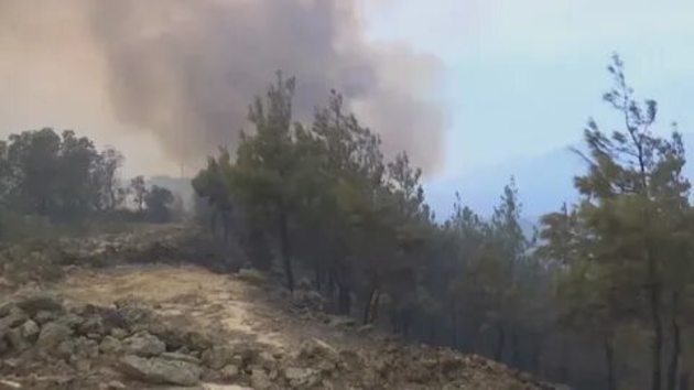 Turkey: Foreign tourists evacuated as wildfires threaten resorts