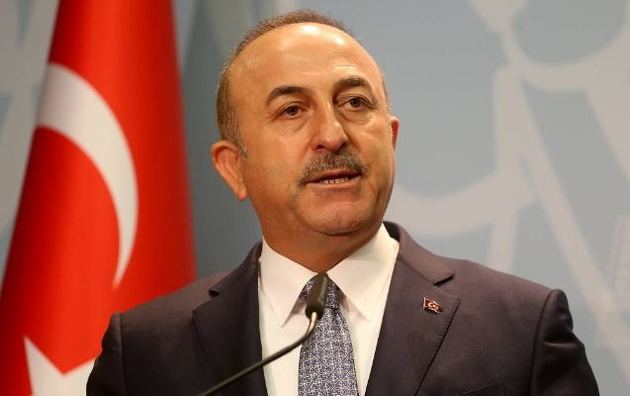 Cavusoglu thanks Azerbaijan for supporting fight against forest fires