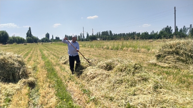 Will Turkish model save Kyrgyzstan&#039;s agriculture