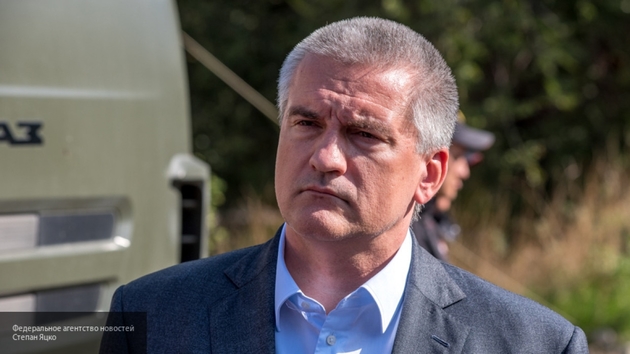 Aksenov reports to Putin on situation in Kerch, standing waist-deep in water