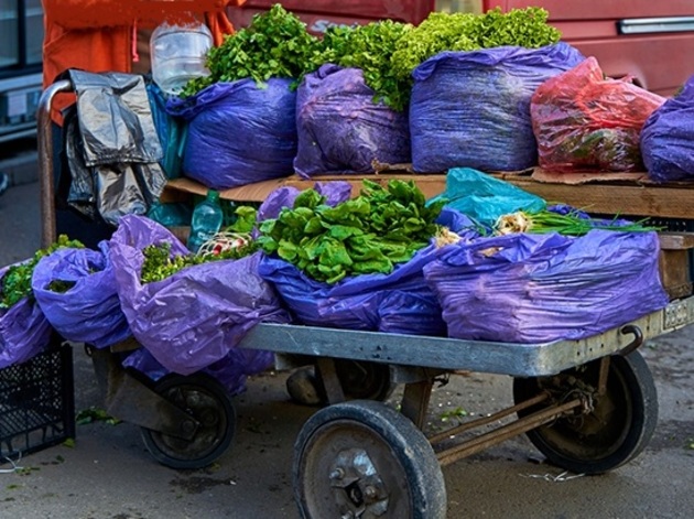 Nature Genetics: Caucasus is cradle of lettuce