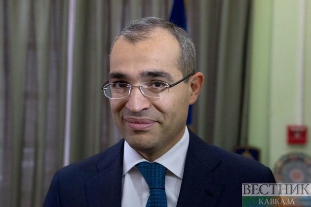 Azerbaijan appoints new president of Wrestling Federation