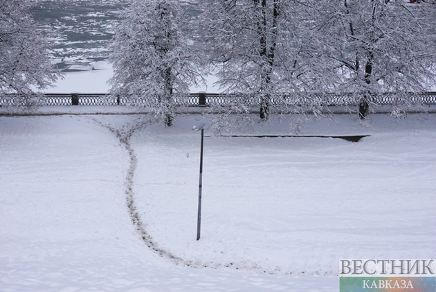 Snowfall in Moscow (photo report)