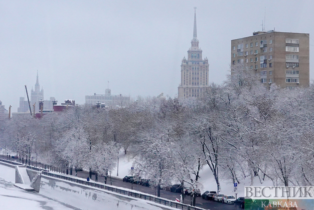 Snowfall in Moscow (photo report)