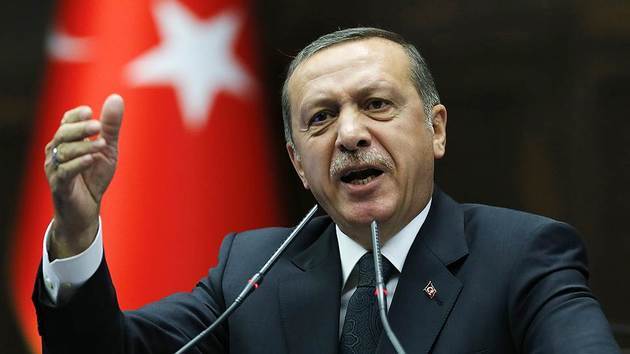 Turkey is waging a historic struggle, Erdogan says