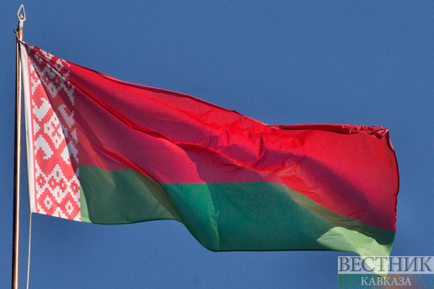 Belarus kicks off early voting in constitutional referendum