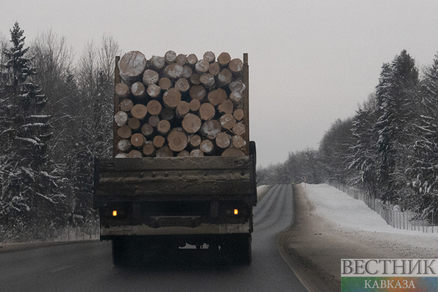 Ban on Russia&#039;s timber, machinery imports to Japan comes into force on April 19