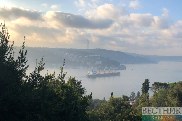 Turkish inspectors check ship heading to load Ukrainian grain