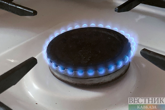 Germany's natural gas storage facilities pass 95% November target