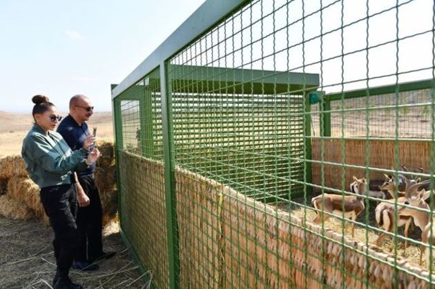 Ilham Aliyev and Mehriban Aliyeva release gazelles in Jabrayil