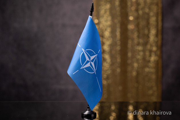 Finnish government submits bill to parliament on NATO membership
