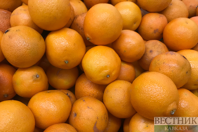 Georgia starts mandarin export