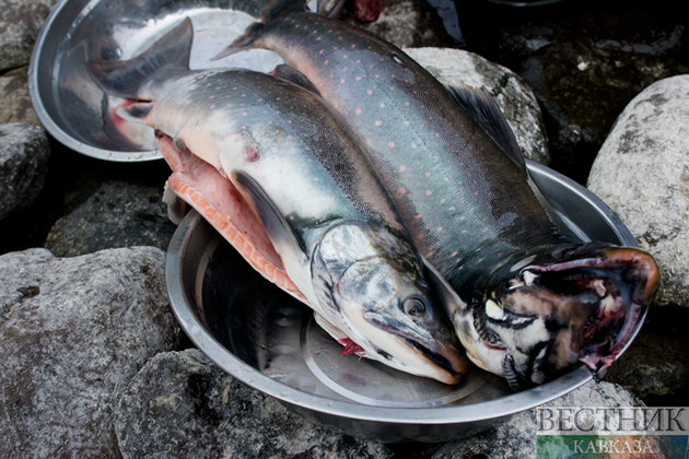 Trout floods Sochi waters