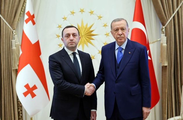 Georgian PM holds talks with Turkish President