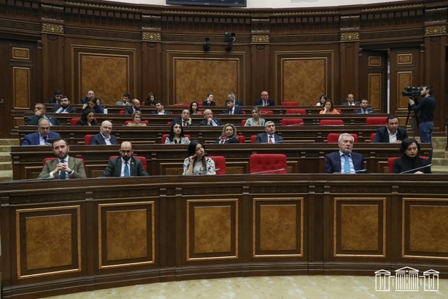 Oppositionist provokes scuffle in Armenian parliament