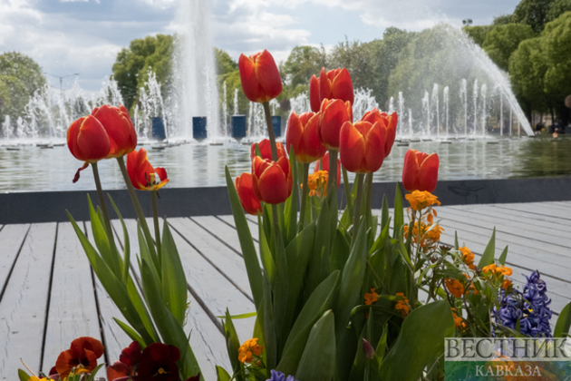 Spring in Moscow: apple trees and tulips bloom in capital
