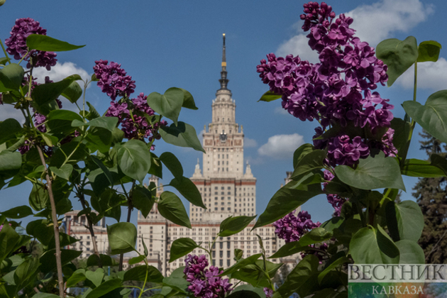 Maria Novoselova / Vestnik Kavkaza. Lilac blossom near the building of Moscow State University 