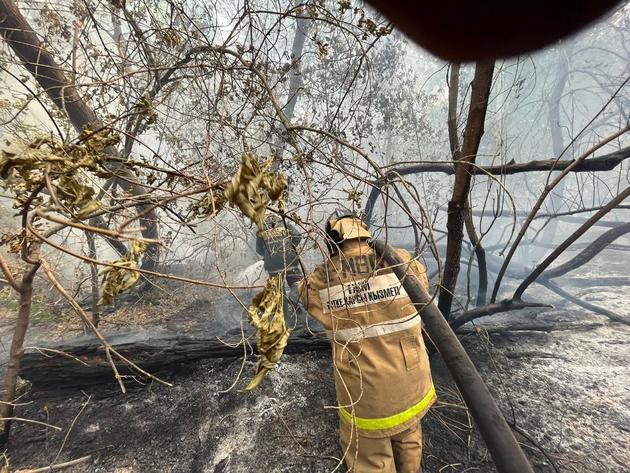 Deadly wildfire in Kazakhstan doubled in size 