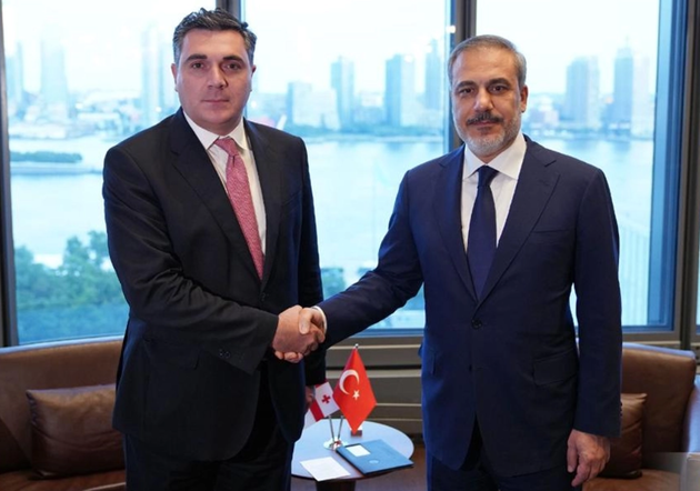 Georgia,Türkiye FMs discuss situation in the region
