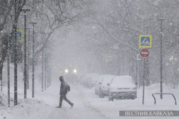 Father Frosts, snowfall in Moscow, Hanukkah and exhibitions: the best photos of December 2023