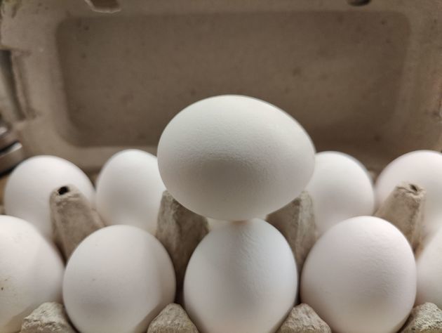 Egg producers’ conspiracy: three companies face fines in Stavropol region